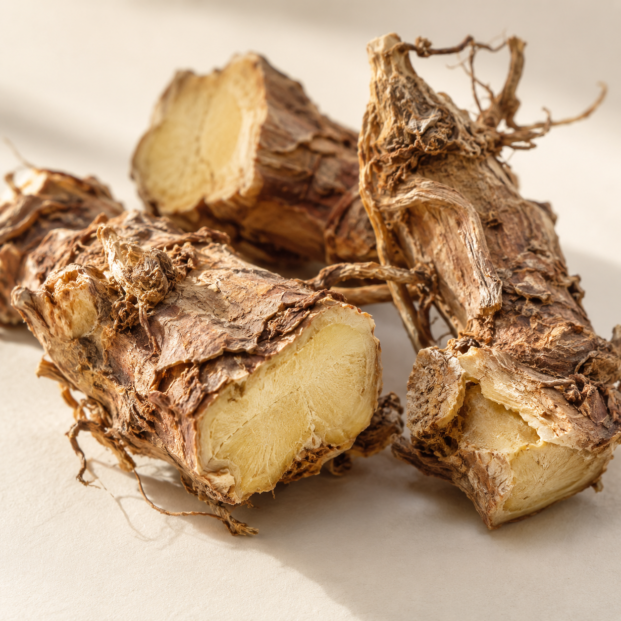 Illustrative Darstellung: Rhodiola rosea